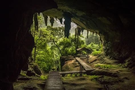 Niah National Park: Một Kho Tàng Lịch Sử Và Thiên Nhiên Tuyệt Đẹp!